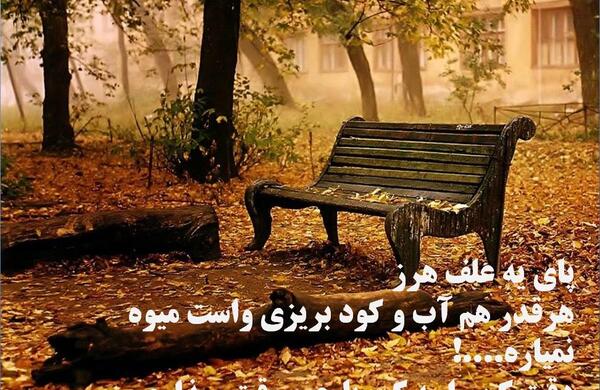 عکس نوشته چه آسان میشود از یادها رفت