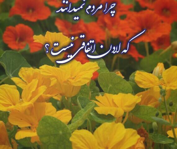 عکس نوشته برای پروفایل شعر
