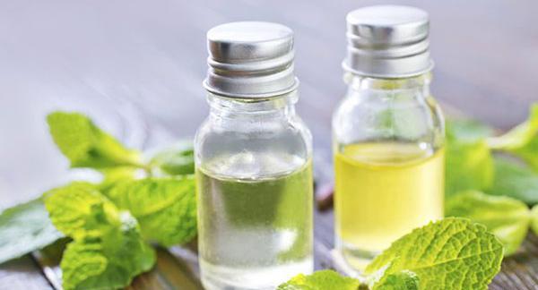 عکس روغن نعناع فلفلی