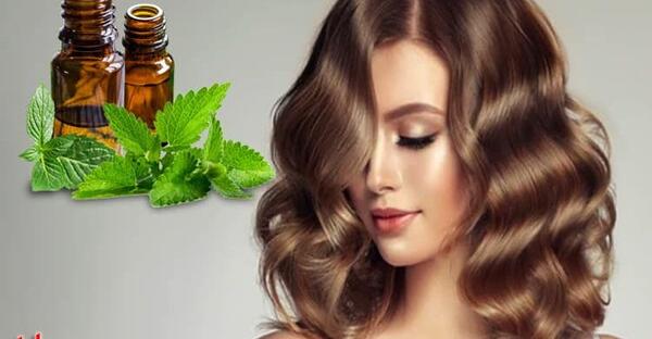 عکس روغن نعناع فلفلی