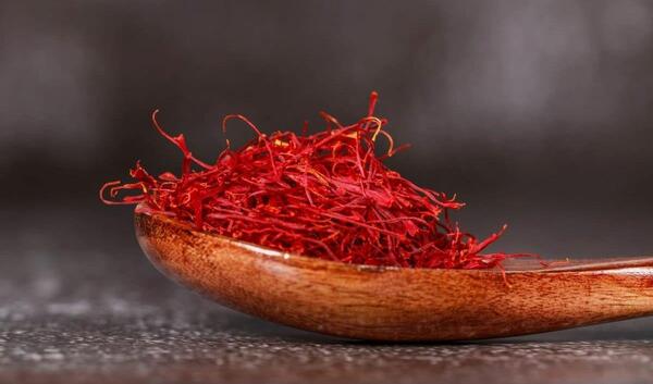 عکس جمع آوری زعفران