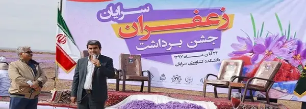 عکس جمع آوری زعفران