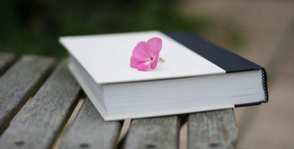عکس کتاب زیبا