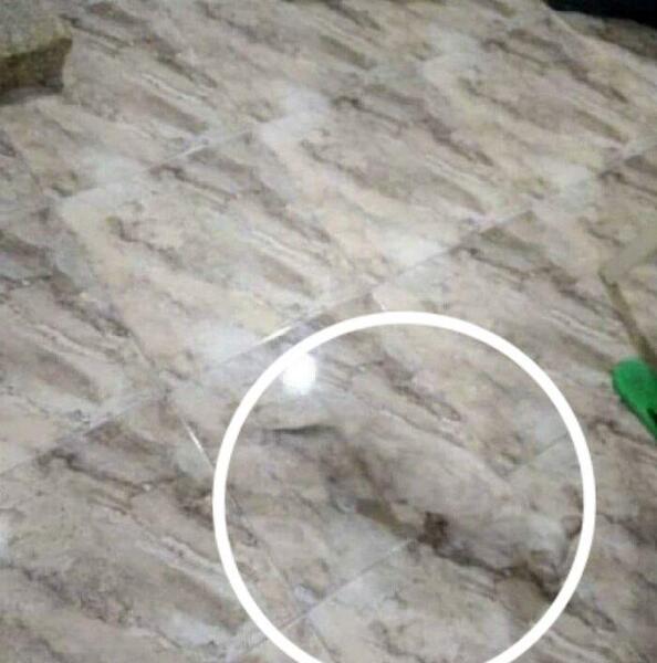 عکس چالش گیج کننده