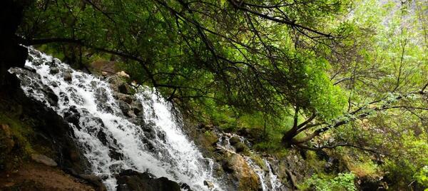 عکس جاهای دیدنی پالنگان