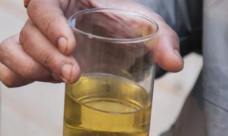 عکس گاو مریض