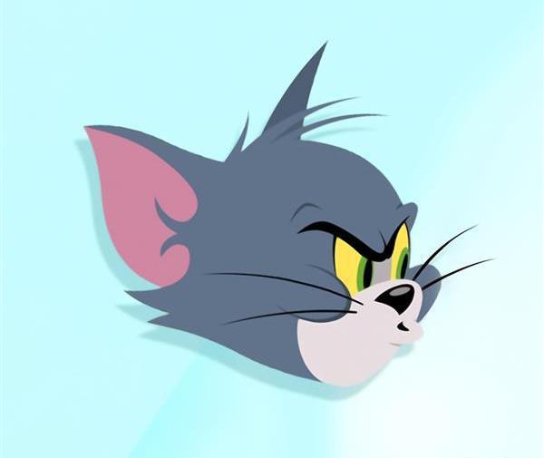 عکس تام تام