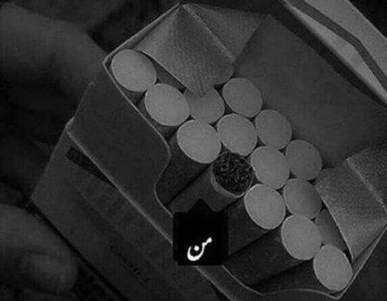 عکس نوشته شاخ پروفایل