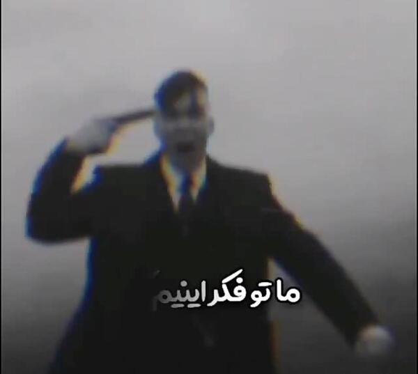 عکس تامی شلبی