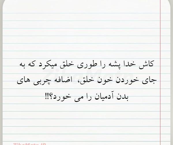 عکس نوشته کاش خدا منو ببینه