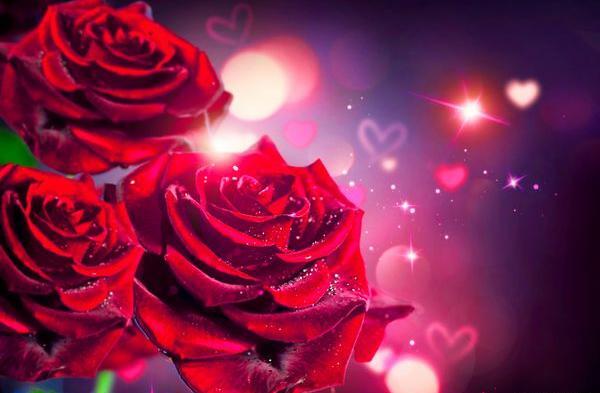عکس قلب سرخ زیبا