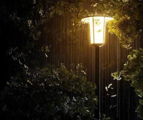 عکس پروفایل پسرانه زیر بارون