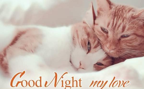 عکس شب بخیر شیک