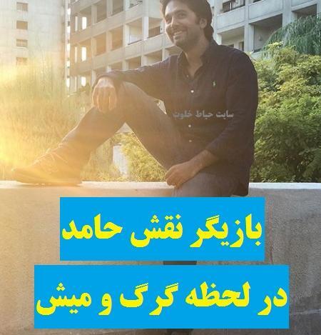 عکس های حامد در سریال لحظه گرگ و میش