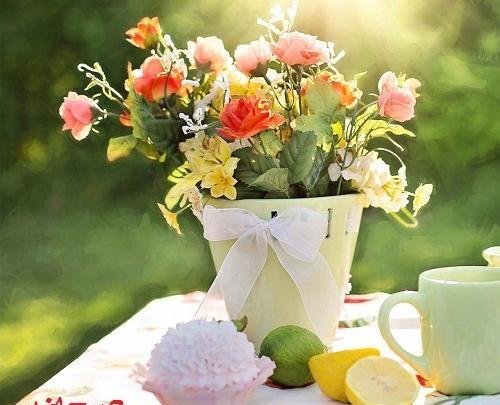 عکس روز دوشنبه صبح بخیر