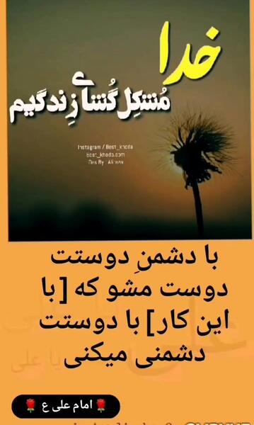 عکس نوشته پروانه شدم