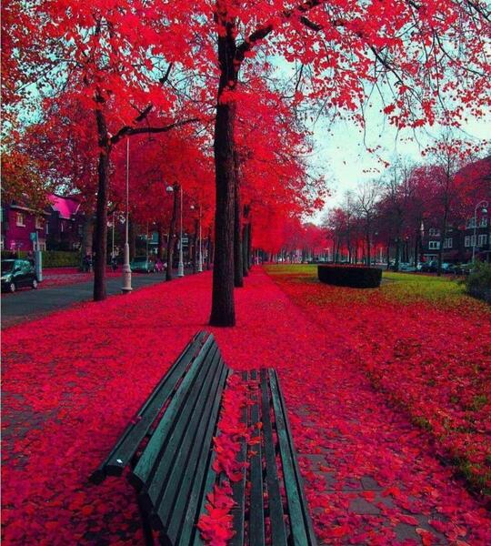قاب عکس زیبا پاییز