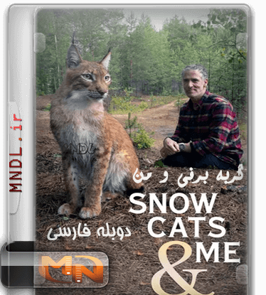 عکس برفی گربه