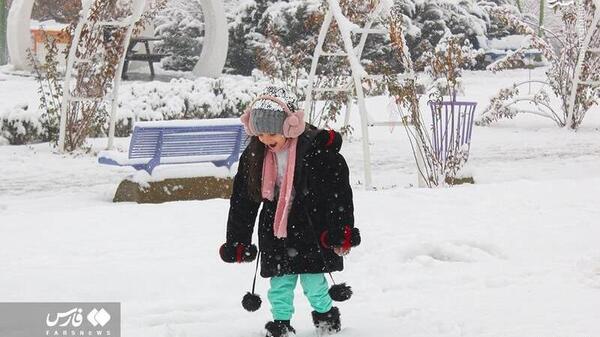 عکس برفی گربه