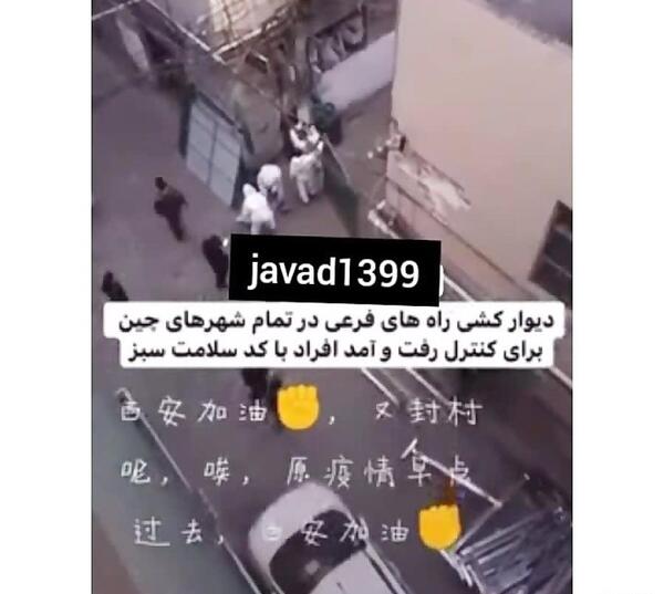 عکس زامبی ی واقعی