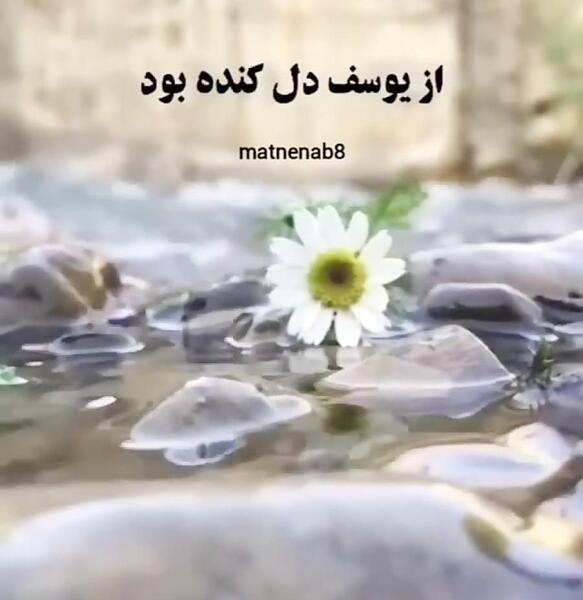 یک عکس خدایا شکرت
