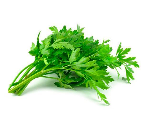 عکس جعفری خشک