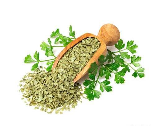 عکس جعفری خشک