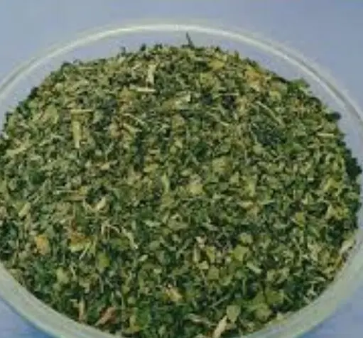 عکس جعفری خشک