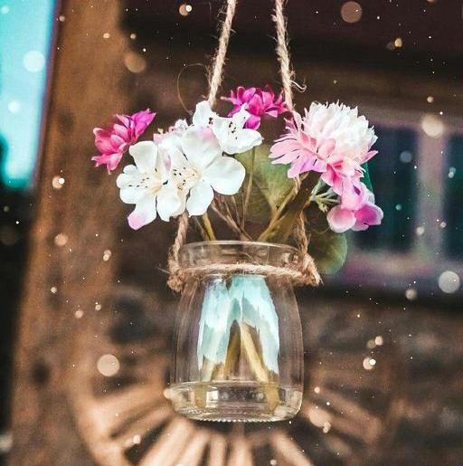 عکس گل و طبیعت برای پروفایل