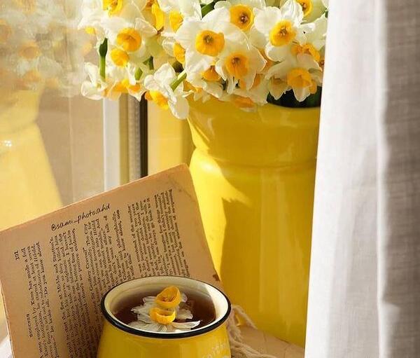 عکس گل نرگس در دست دختر برای پروفایل