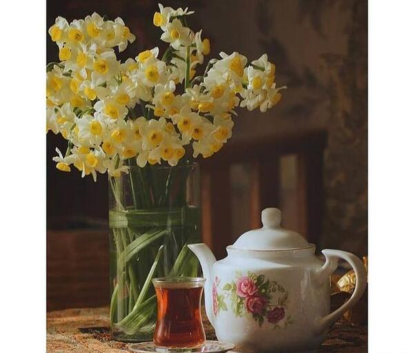 عکس گل نرگس در دست دختر برای پروفایل