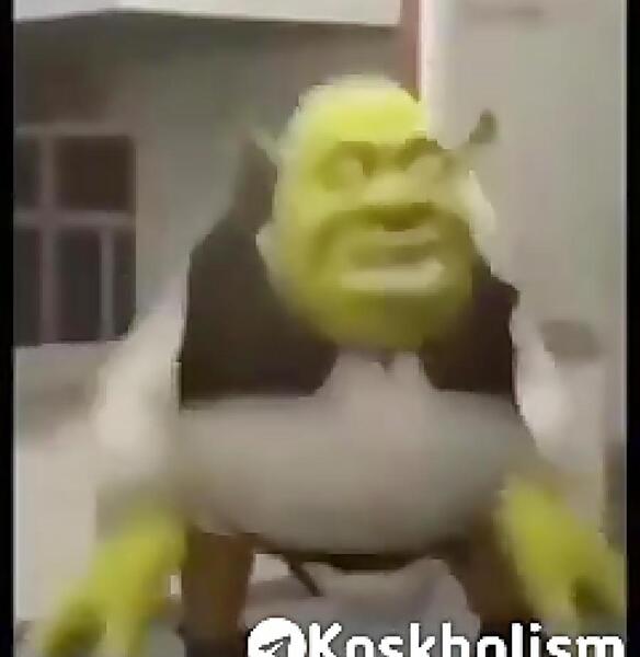 عکس خر تو شرک