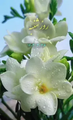 عکس خدایا شکرت بابت زندگیم