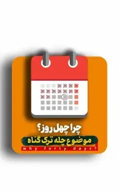 عکس مرغ عشق در جنگل