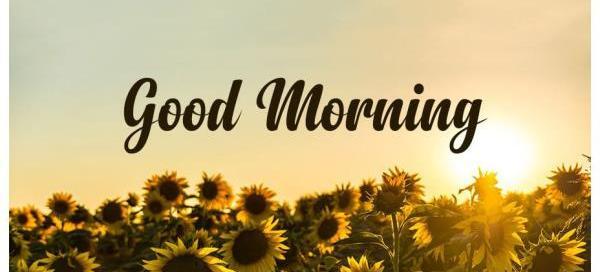 عکس طبیعت برای صبح بخیر