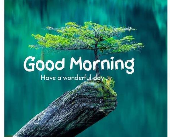 عکس طبیعت برای صبح بخیر