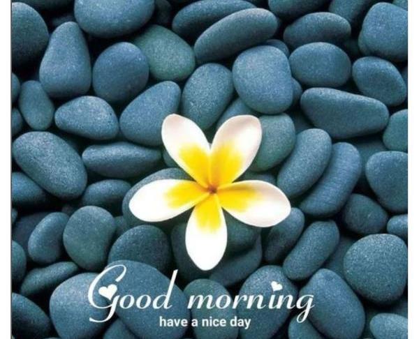 عکس طبیعت برای صبح بخیر