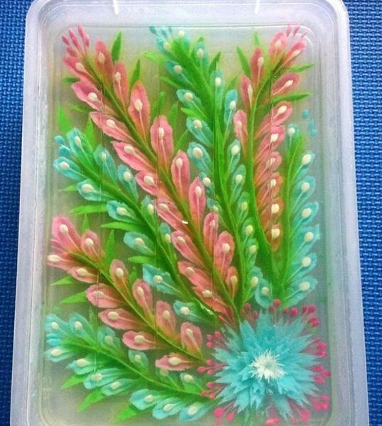 عکس هایی از ژله بستنی