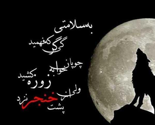 عکس نوشته فاز سنگین مردن