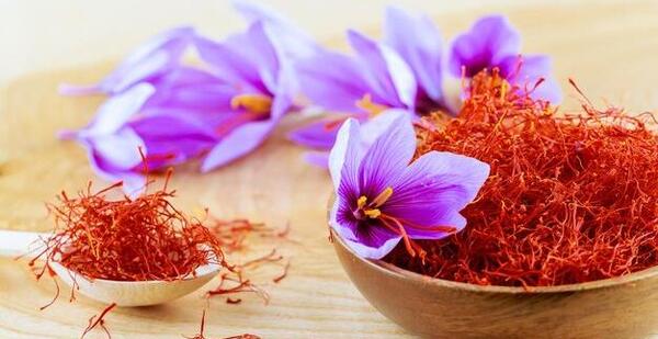 عکس دستگاه زعفران خشک کن