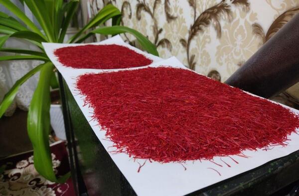 عکس دستگاه زعفران خشک کن
