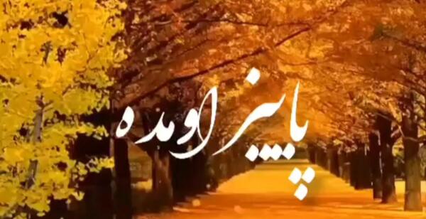 عکس استوری پاییز اومده