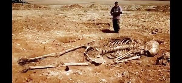 عکس اسکلت انسان واقعی