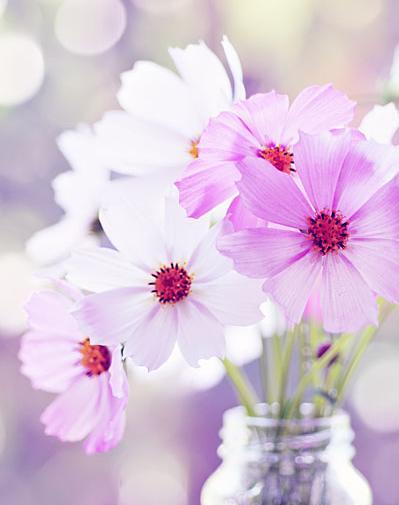 عکس زیبا برای پروفایل قدیمی