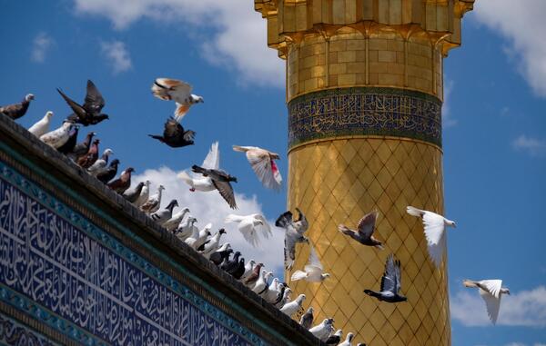 عکس حرم امام رضا پس زمینه