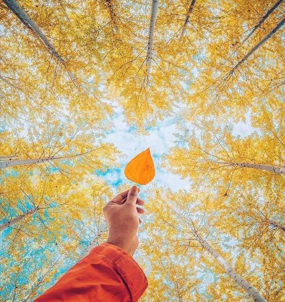 عکس پروفایل دخترونه پاییزی خاص