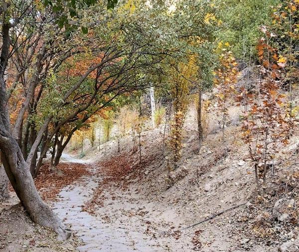 عکس بهشت گمشده کامفیروز