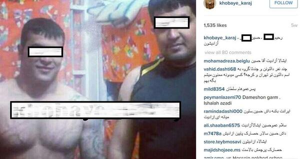 عکس خرگوش آنقوره