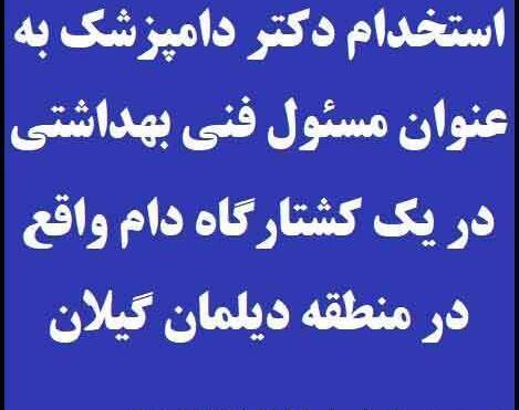 عکس خرگوش آنقوره
