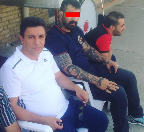 عکس خرگوش آنقوره